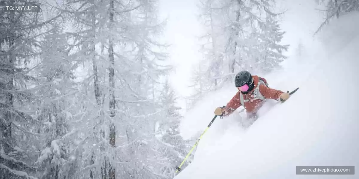 🎁 会员专属福利，购票折扣 + 周边盲盒双重惊喜！